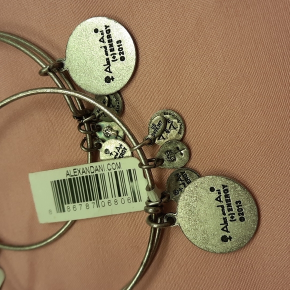 NWT, Bundle of 2 Alex and Ani Air U.S. Air Force Bracelet - Picture 5 of 12